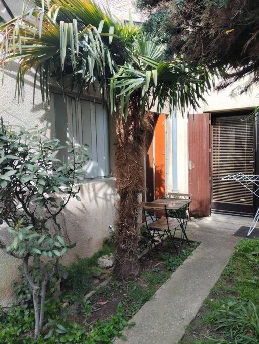Apartament Les Salenques Tuluza Zewnętrze zdjęcie